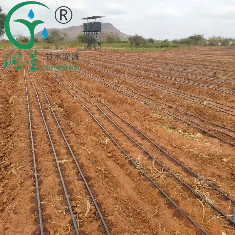 Factory Directly Supply Agriculture Drip Irrigation Kit System Water Filter For Drip Irrigation Drip Tape 16m