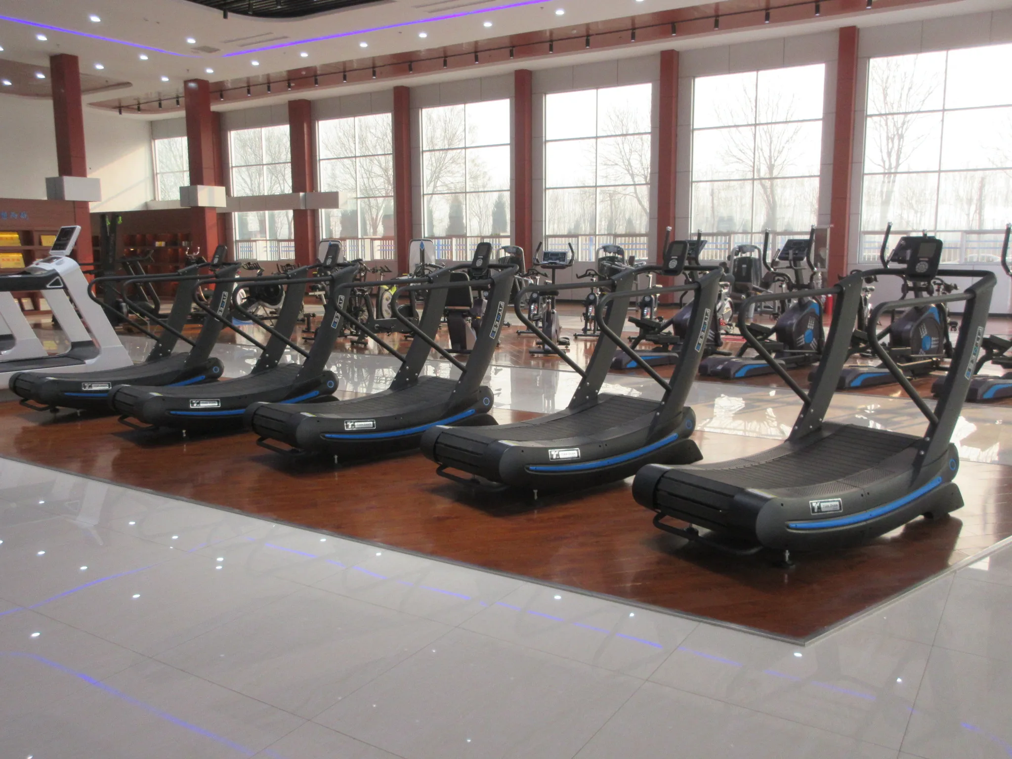 TZ-2020B Commercial Recumbent Bike LED Display with Steel Material for Universal Exercise Applications