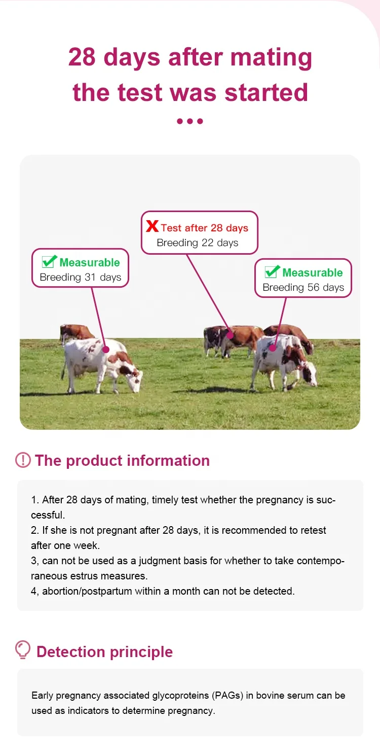 Cheapest Bovine Pregnancy Test Kit For sale cows cattle