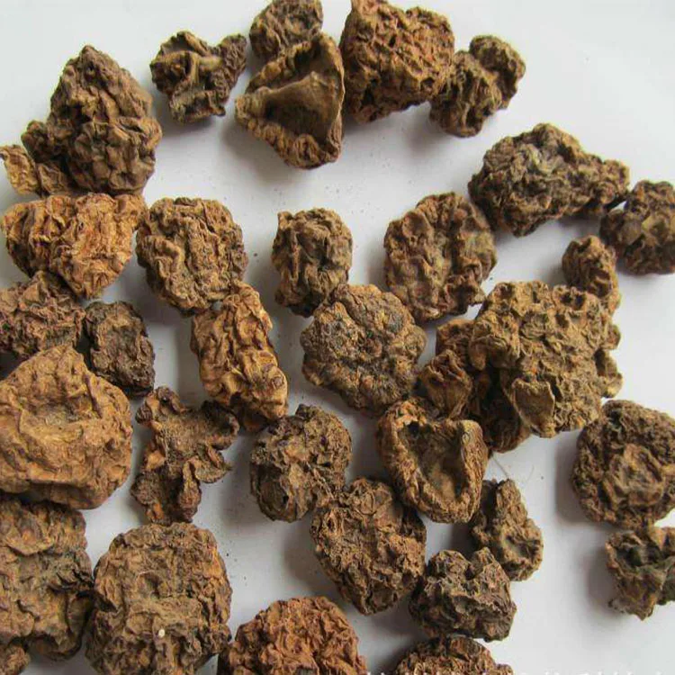 Wholesale bulk Japanese Catnip cat toy dried Fruits Organic Actinidia polygama Matatabi Silvervine Fruit