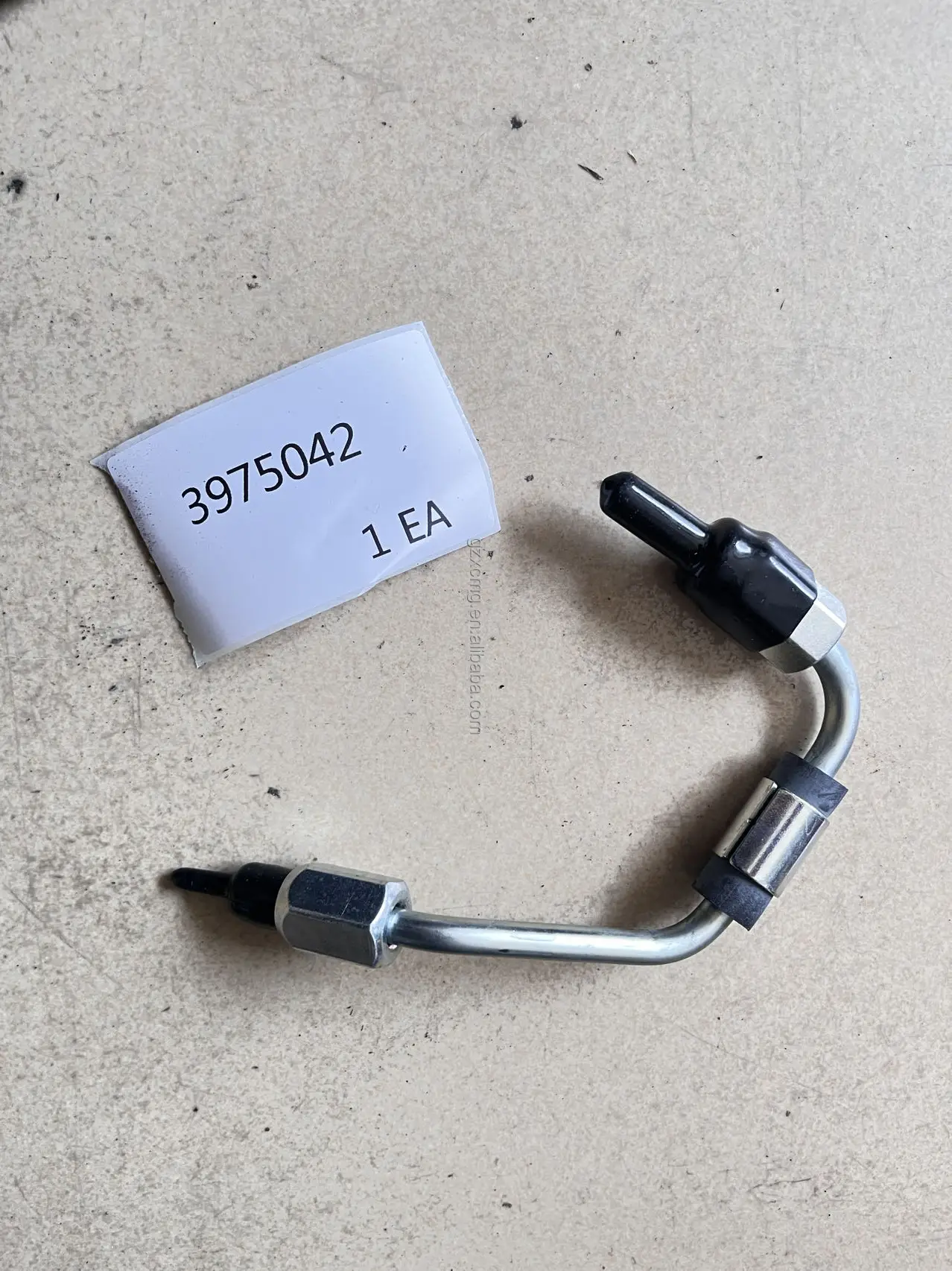 3975042.jpg
