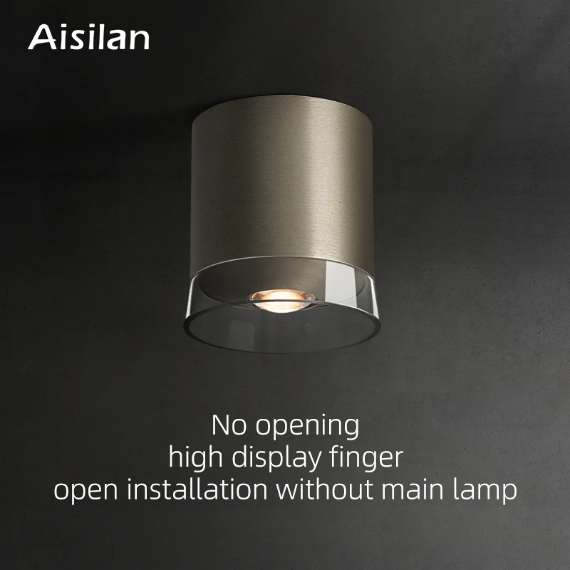 Aisilan hotel home modern lens Brushed nickel led surface mounted fitting ceiling light housing downlight fixture