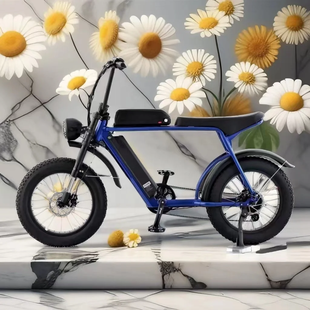 WT20 40Ah dual battery high power high quality 20 inch snow fat tire 500W-1000W off-road electric bike