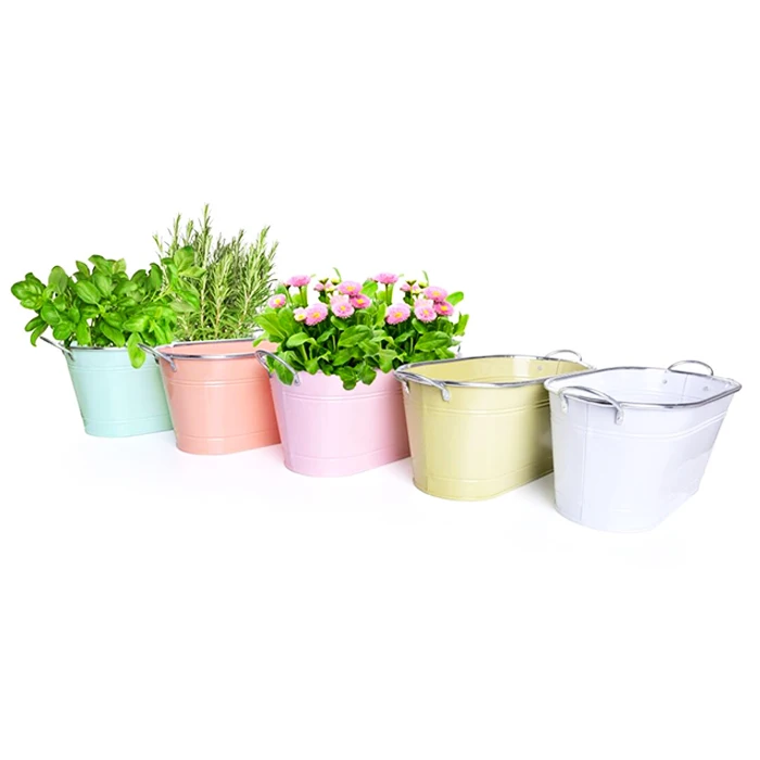 Color Tub Flowers Planters Pot With Handle For Garden Suppliers Accessories Oval Iron Metal Flower Pot