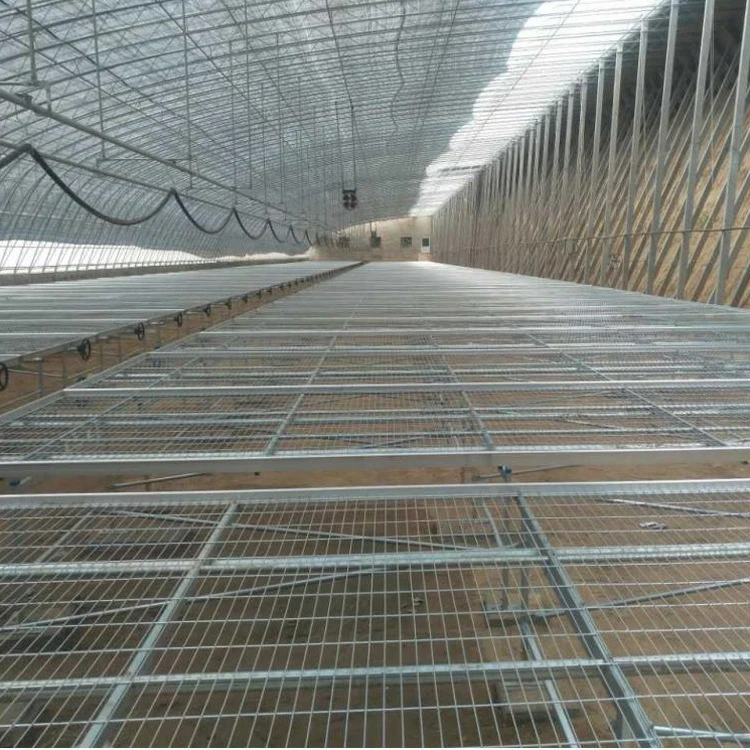 Factory Price Waterbed seedbed Nursery Bed Galvanized Welded Wire Mesh Steel Seedbed/seed plot Movable Rolling Bench
