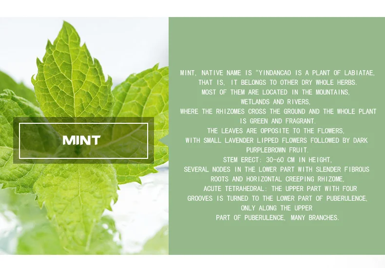 Natural Peppermint Essential oil 100%Pure Massage Essential Oil new Fresh mosquito repellent refreshing analgesic skin care