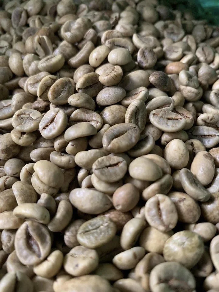Robusta S16-чистые зеленые кофейные зерна оптовый поставщик из Вьетнама 100% натуральные хорошая цена низкий минимальный