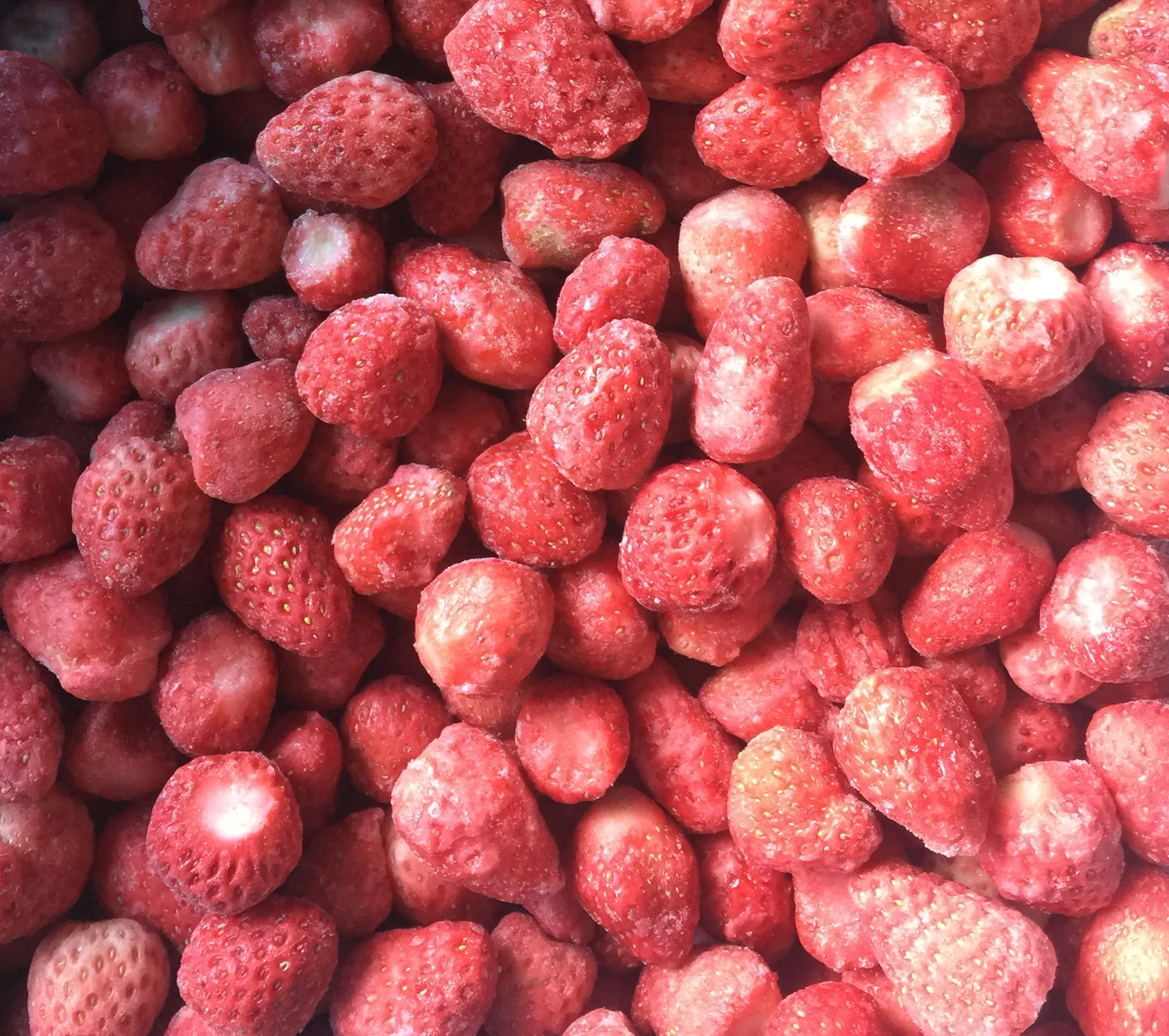 Wholesale IQF Freshly Chosen Frozen Strawberries in Bulk Sliced and Water Preserved in Carton Packaging for Convenience
