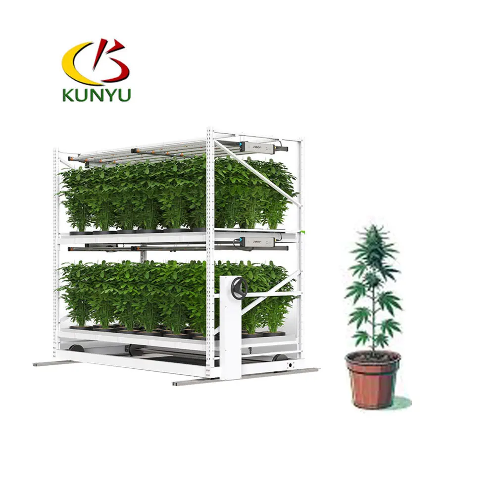 Kygreenhouse Vertical Hydroponic System Medical Plant Grow Rack Container Growing Hemp Seeds Greenhouse for Planting
