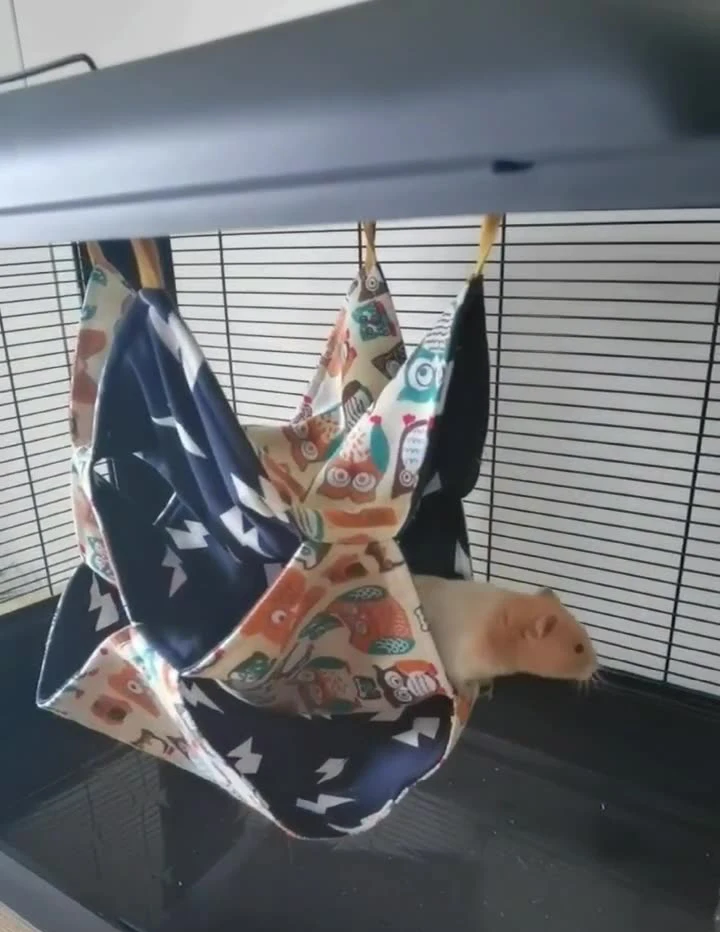 Whole High Quality Hanging Hammock Bed for Small Pets Beds Perfect for Squirrels and Hamster Beds
