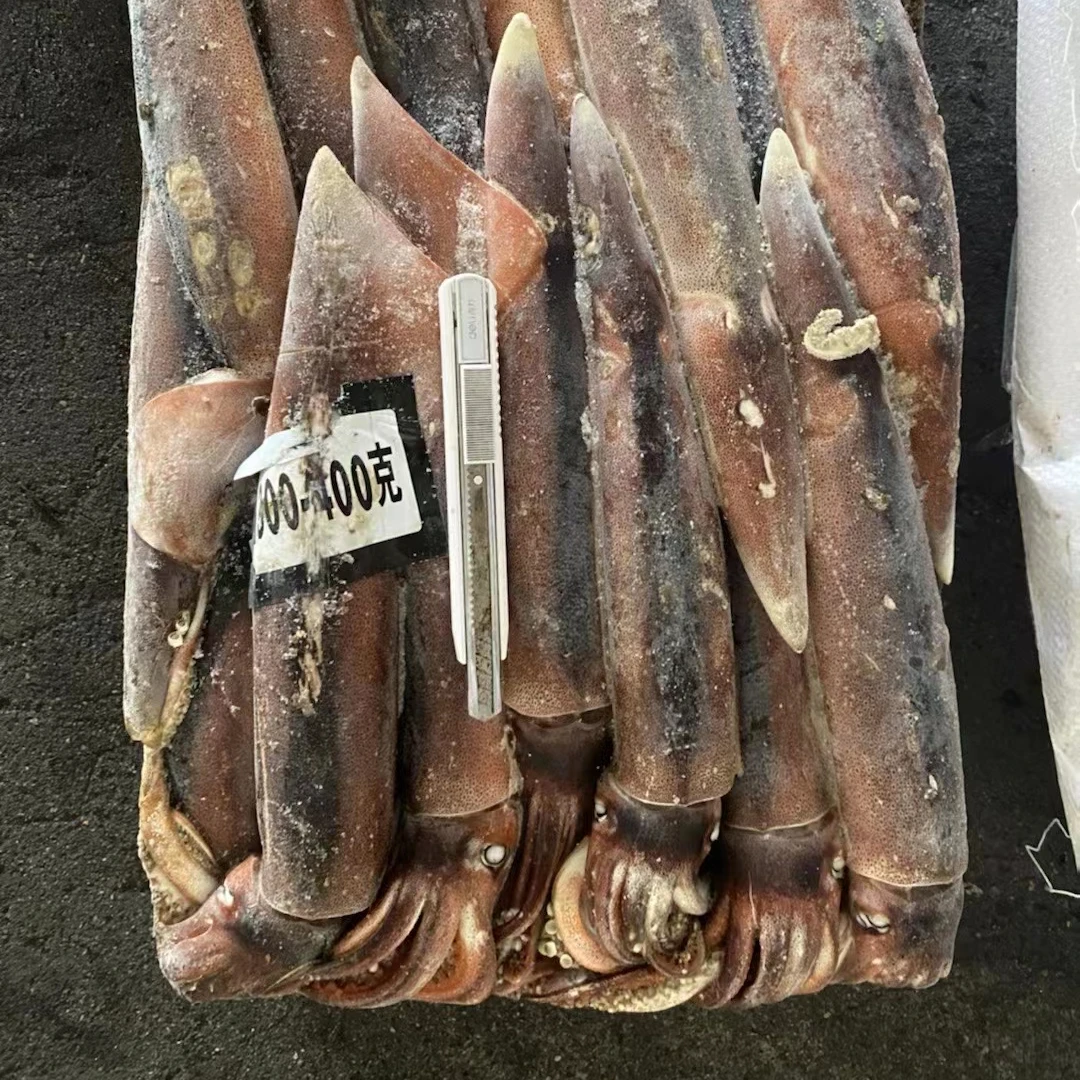 Аргентинский кальмар WR 300-400 г морепродукты из Китая замороженный
