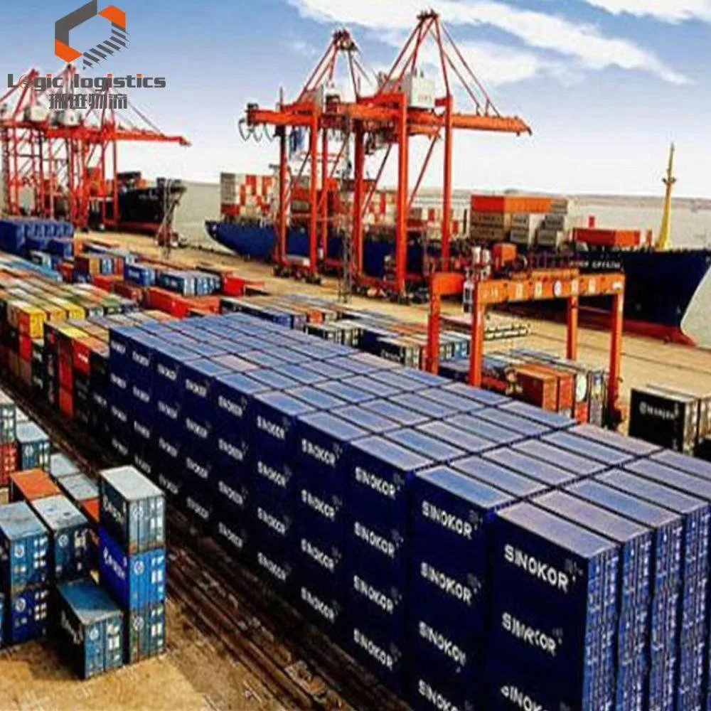 China to India IN professional logistics team ddp Clothing shoes wireless headphones cosmetics