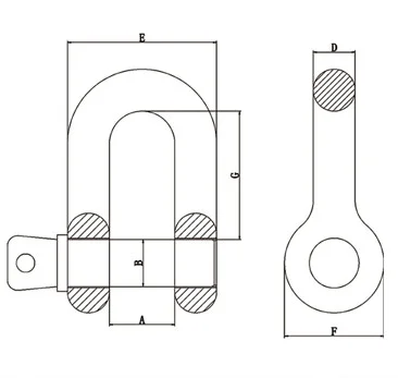 European Type Lifting Dee Stainless Steel D Shackle
