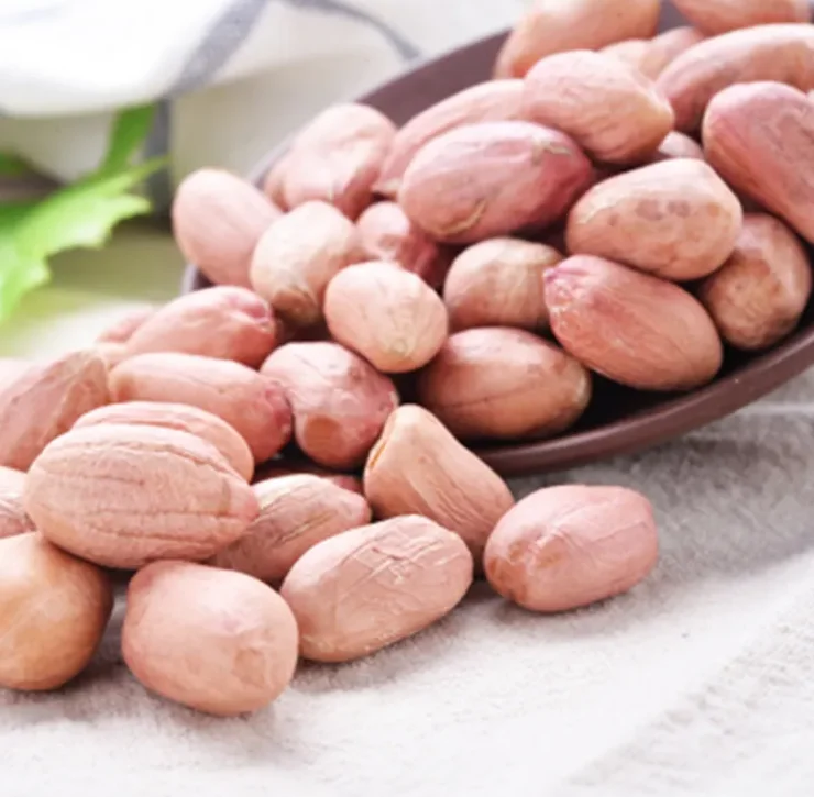 Wholesale Bulk raw pure sun dried peanuts prices high quality large and plump raw peanuts for sale