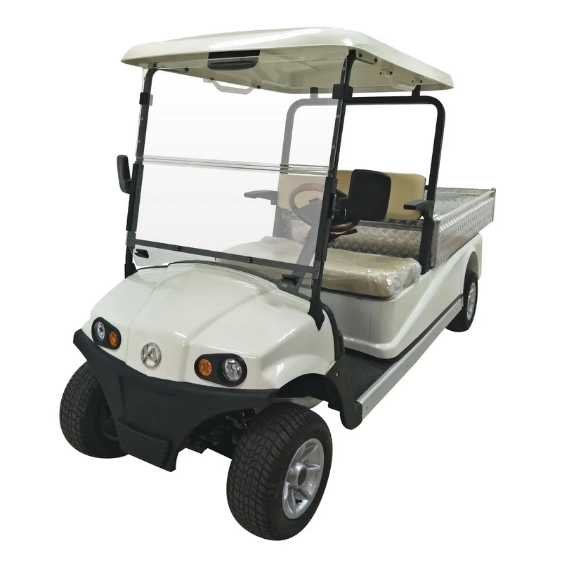 CE Approved Good Price 48V 2 Passenger Electric Cargo Buggy Golf Cart