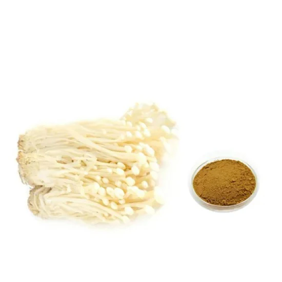 Factory Price Natural High Standard Polysaccharides 10%-50% Button Mushroom Extract