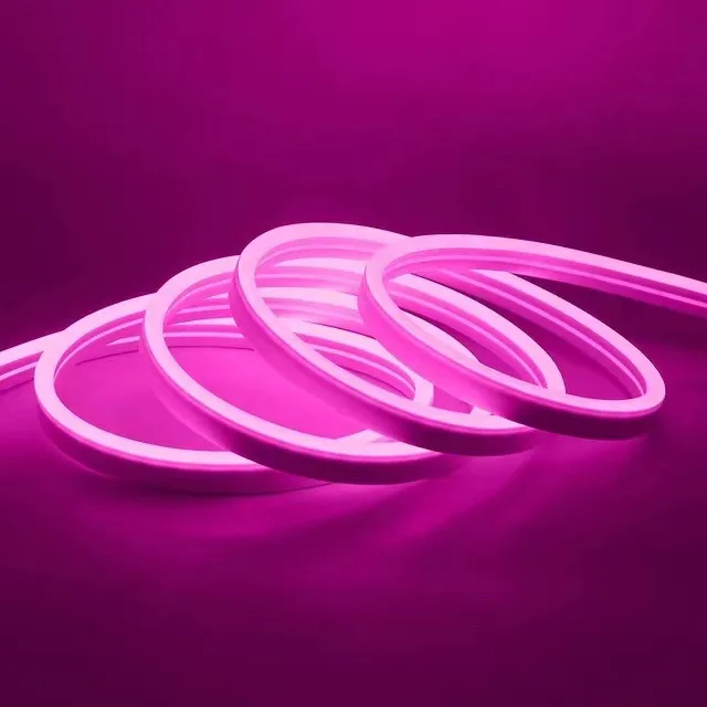 Neon Light With 5V 12V 24V Outdoor Special Silicone Flexible Soft Light Led Flexible Neon Lights