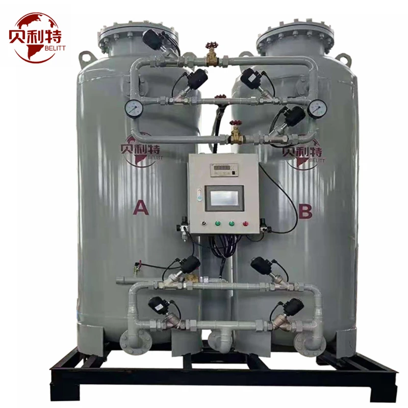 Belitt Psa Oxigen Generator Oxygen Making Machine Production Line  Oxygen Generator For Fish Farm