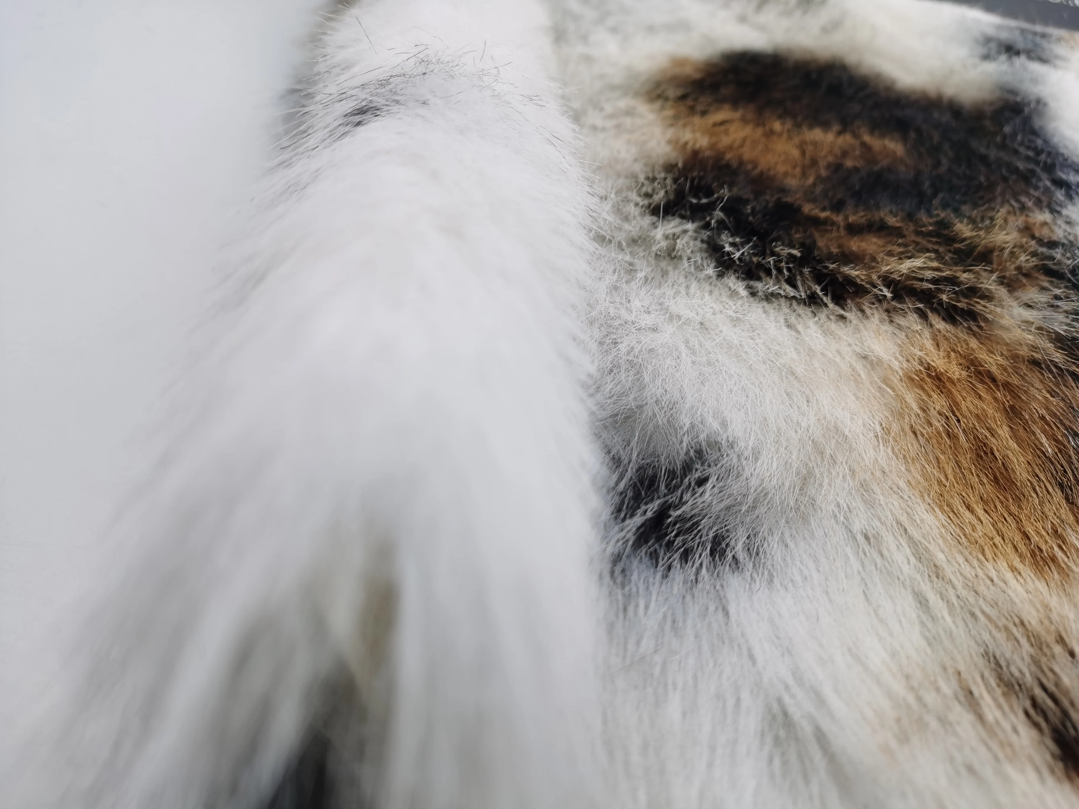 100% Polyester Warm Thick Printed Tuscany High Quality Faux Fake Animal Fur Fabric for Garment/ Home Textile/ Toys