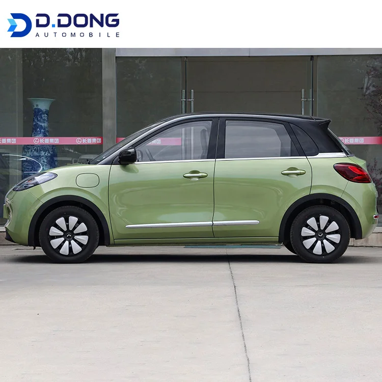 Автомобильный 2023 Dongdong новый для запуска мини-электромобиль взрослых