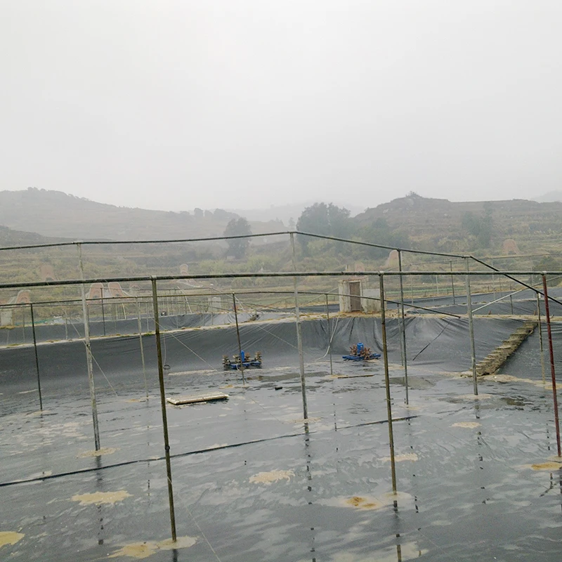 Хит продаж полиэтиленовый вкладыш для пруда HDPE геомембранный аквакультурный инвентарь рыбной фермы