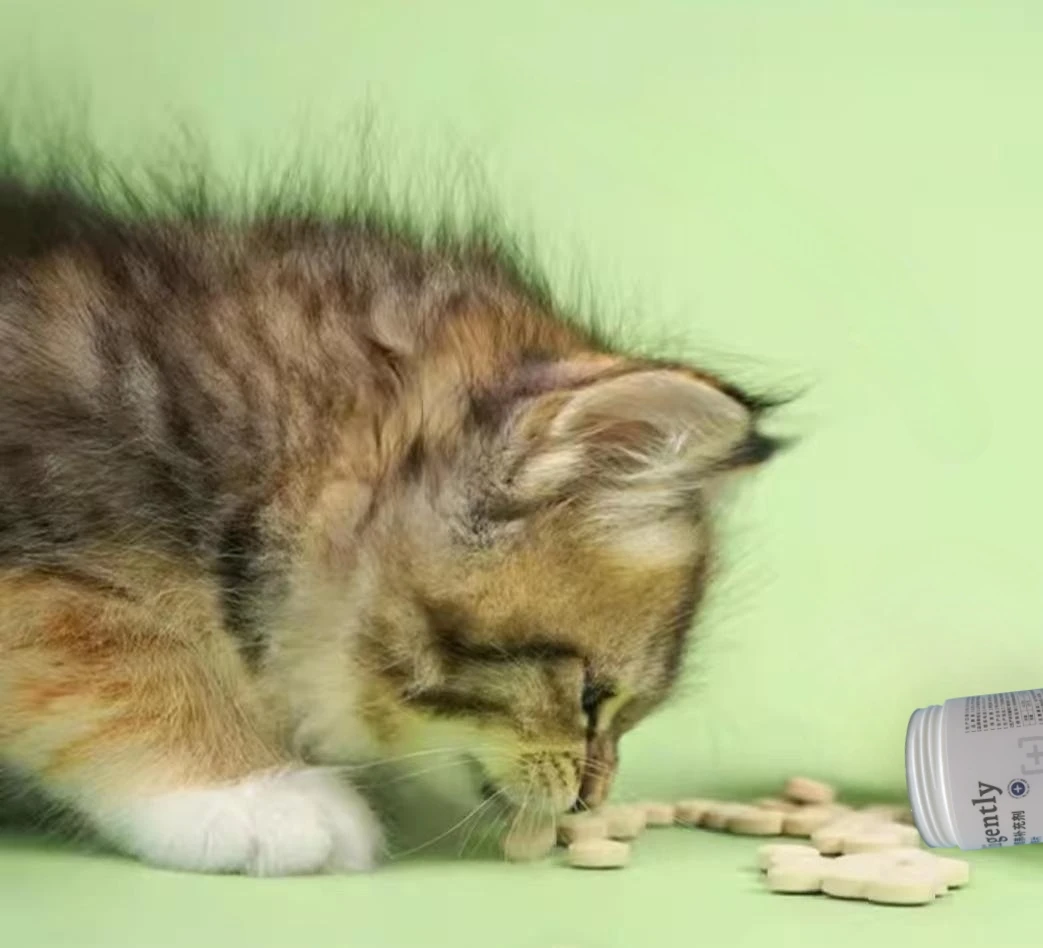 China improve bone pet vitamins chondroitin cat dog hip and joint supplements vitamin supplements chews