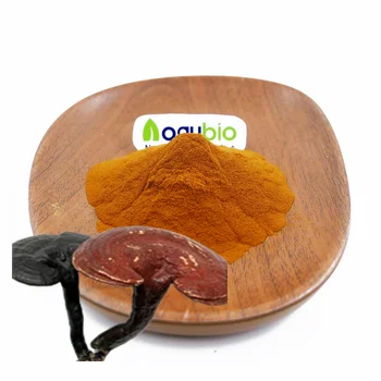 organic certification health supplement Reishi Mushroom Extract powder