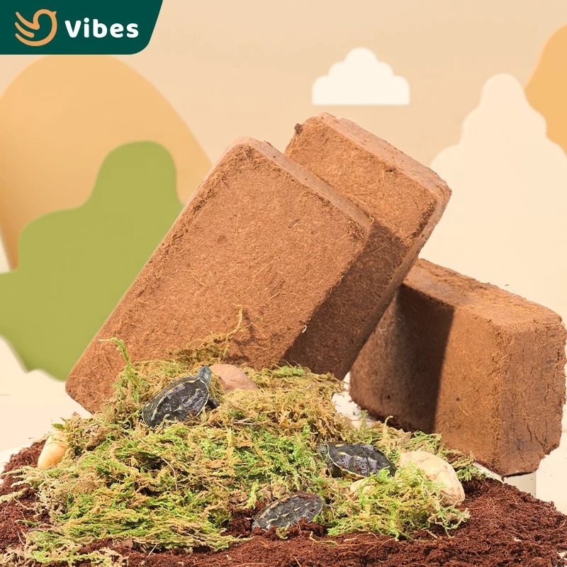 Good Price Transparent White Black Multi Sizes Climbing Pet Feeding Box Plastic Tortoise House With Coconut Coir Brick And Moss