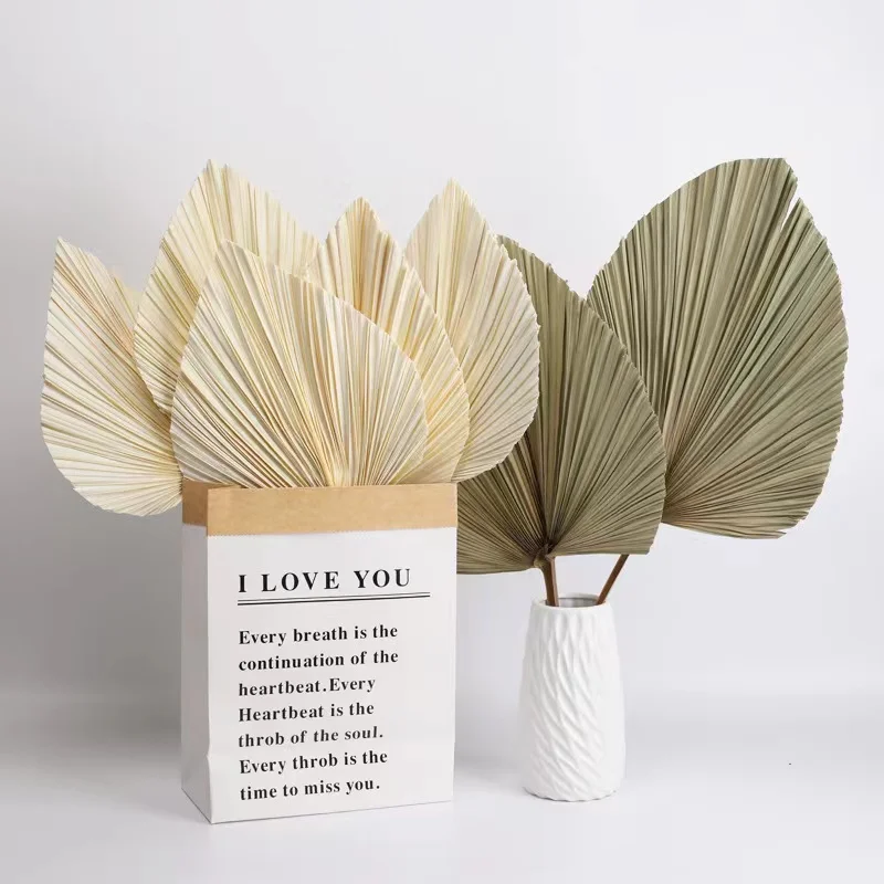palm leaf fan  (19).jpg