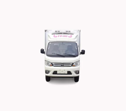 0.5-1.5 Ton reefer truck FOTON 4*2  Refrigerator truckk