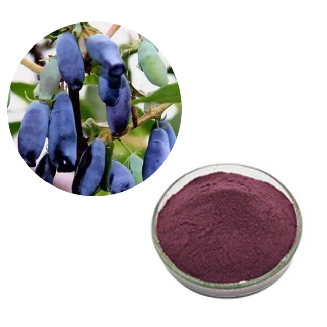 Экстракт жимолости Lonicera Caerulea поставка Hongda