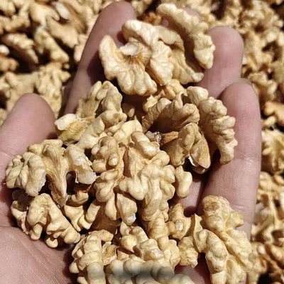 Minimum price high quality paper skinned extra light walnut kernels halves walnut supplies