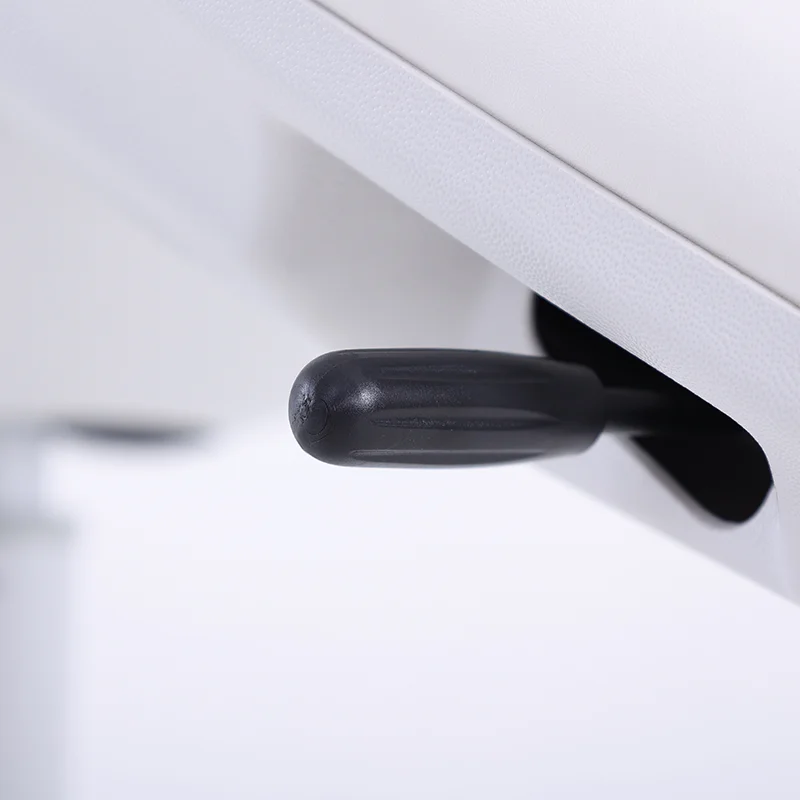 Luxury Electric Facial Bed with 3 Motors for Beauty Salon Adjustable European Style Comfort Lash Massage Table