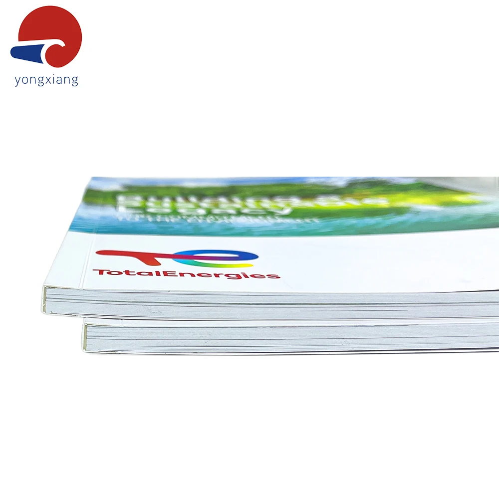 Cheap Colorful new product Custom A4 flyers printing / brochure printing/ catalogue printing