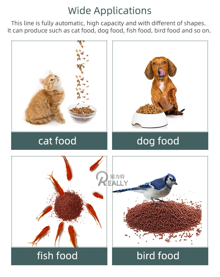 Various Models Floating Fish Feed Extruder Machine Pet Animal Feed Pellet Processing Machines Dry Dog Food Making Machine