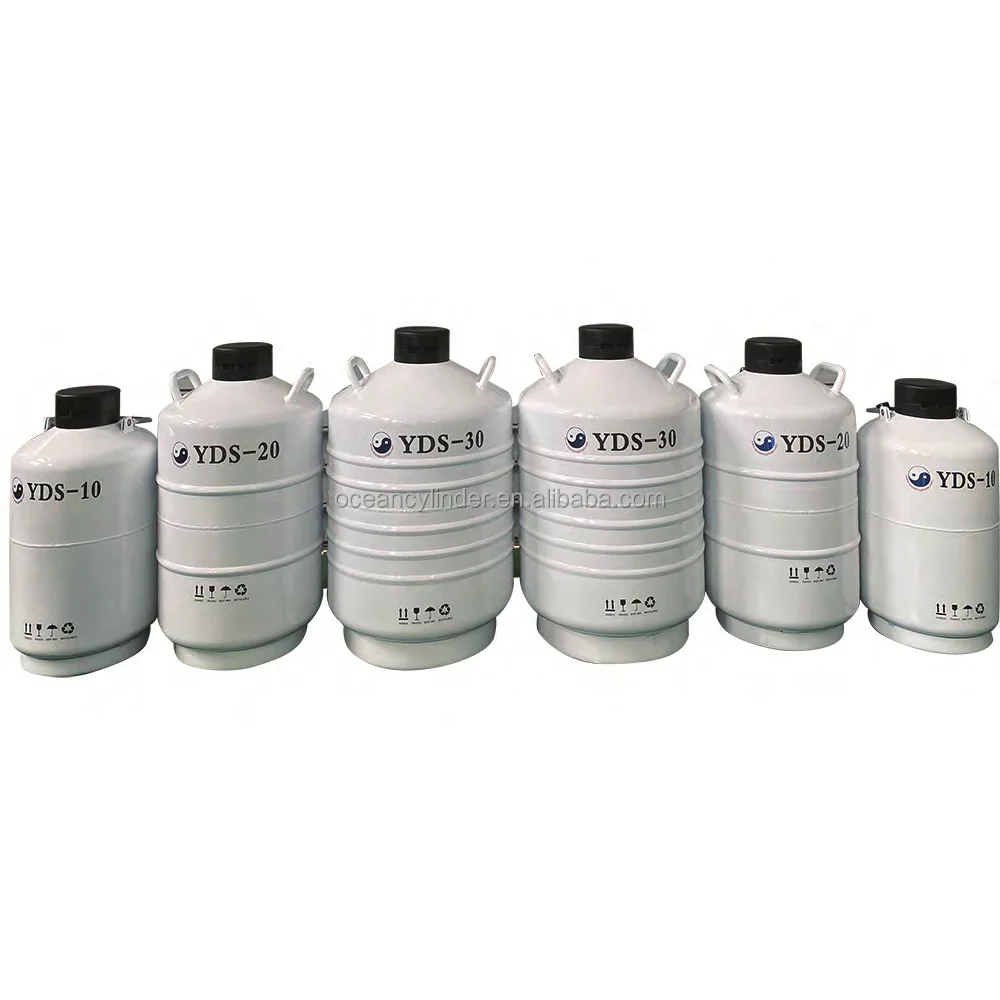Liquid Nitrogen Tanks (YDS TYPE) Cryogenic Storage Container Stainless Steel Cryogenic Liquid Storage Tank