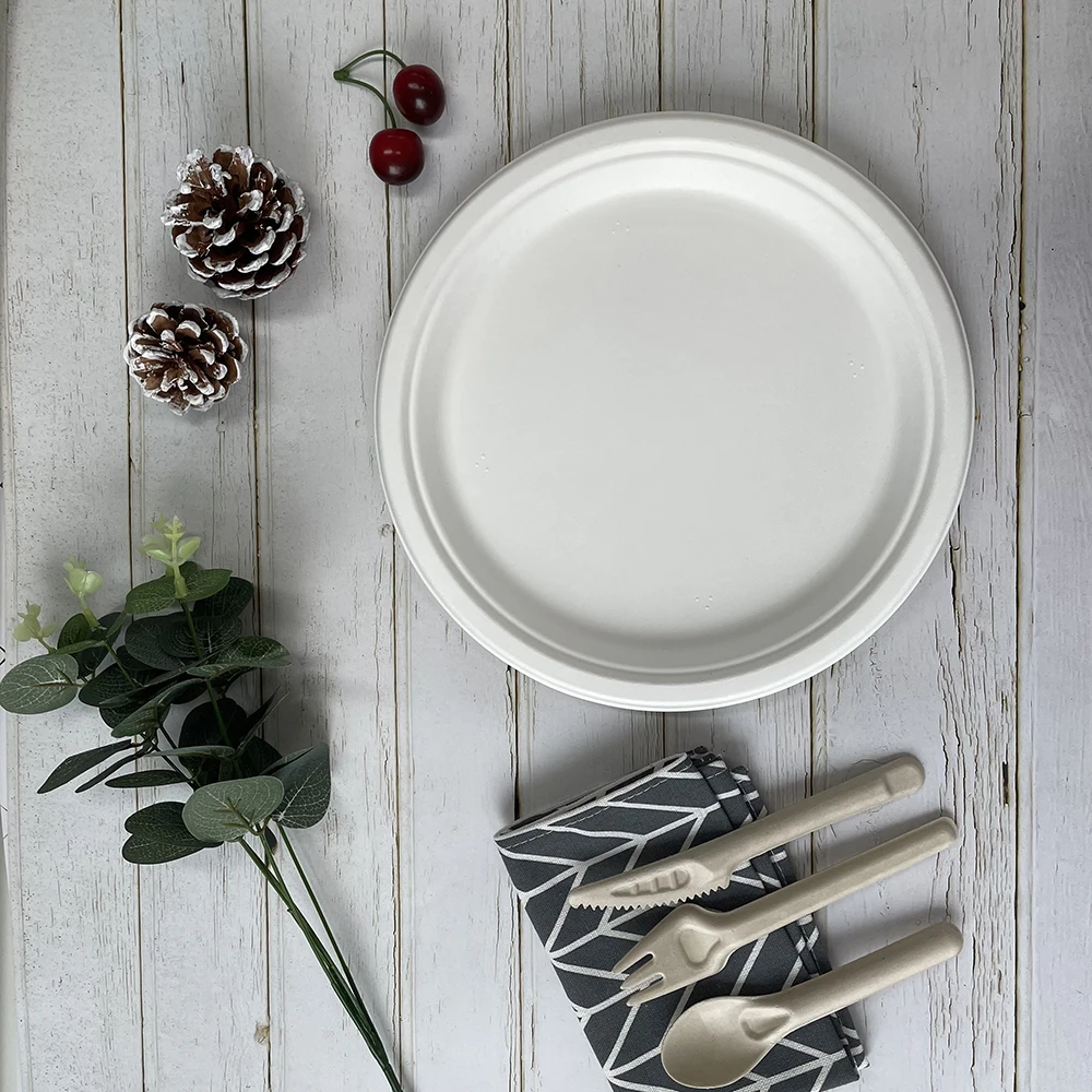 Paper Plates Biodegradable Plate Set Cheap Disposable  Plates Bulk Party Bagasse Food Container