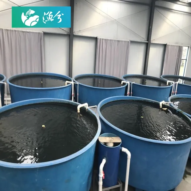Ras Shrimp Farming Aquaculture Ras Systems Recirculating Aquaculture System Design Ras Indoor Aquaculture Fish Farming Seawater
