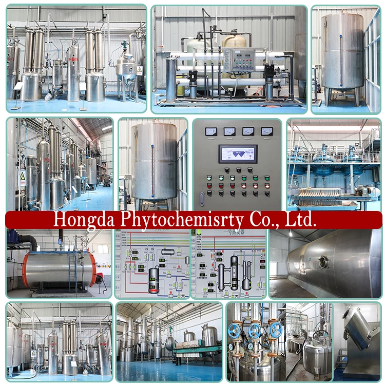 HONGDA Supply Organic Chicory Extract Inulin Powder Inulin