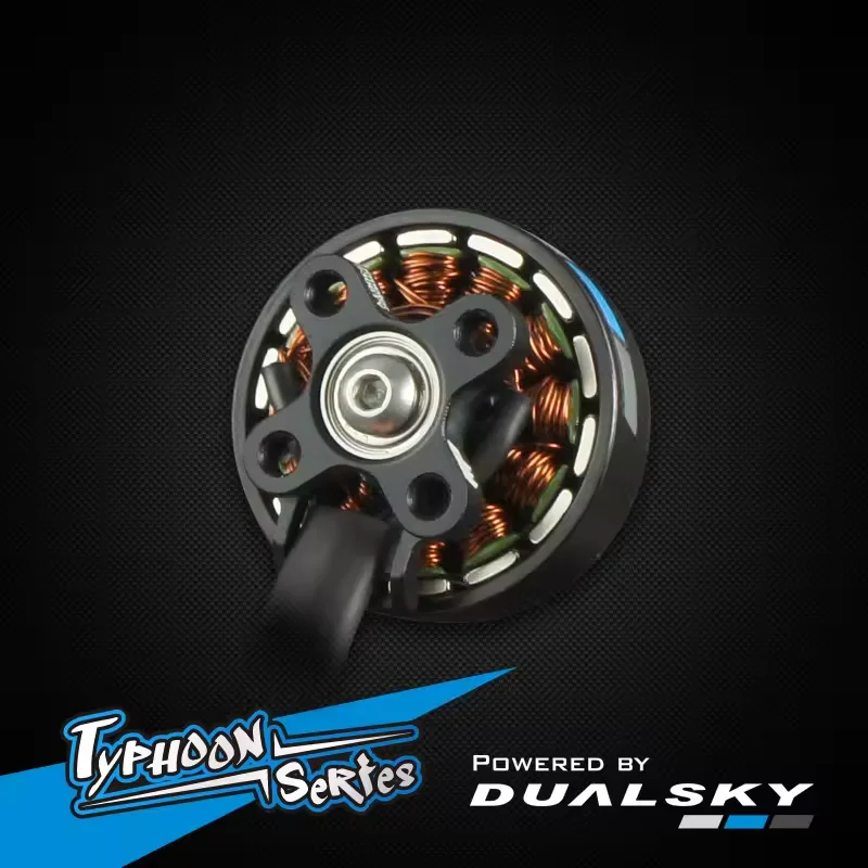 DUALSKY 2306TY Профессиональный Дрон с дистанционным управлением Электрический планер F5K (обновление F3K) P5B Чемпионат складной весло мотор