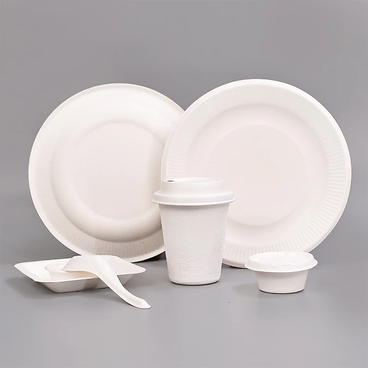 Disposable  dinner plate eco-friendly elegant disposable plates kitchen plates