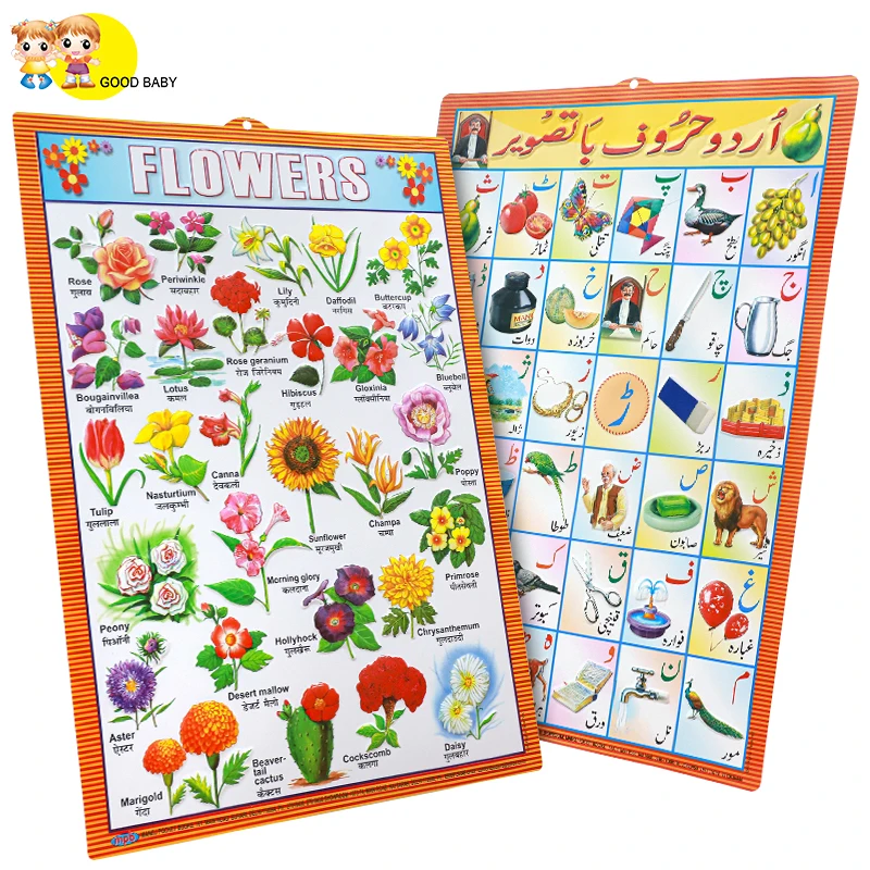 Custom  PVC wall posters 3D concave and convex hanging picture human organs medical wall chart