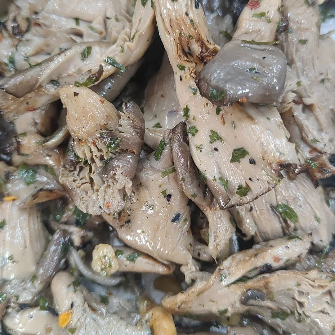 Hot Sell Canned Artisanal Grilled Pleurotus Mushrooms With Extra Virgin Olive Oil Ideal For Snack Sandwiches Or Dishes