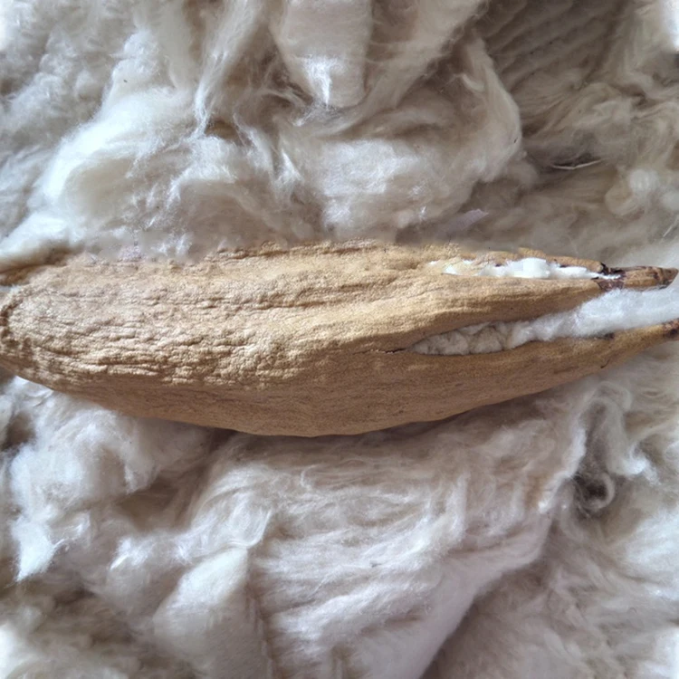 
raw material exporters household pillow filling bulk cotton and kapok 