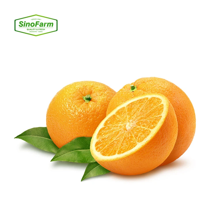 2023 new season Siofarm brand Fresh citrus orange fruit from China Fresh Mandarin sweet oranges for sale