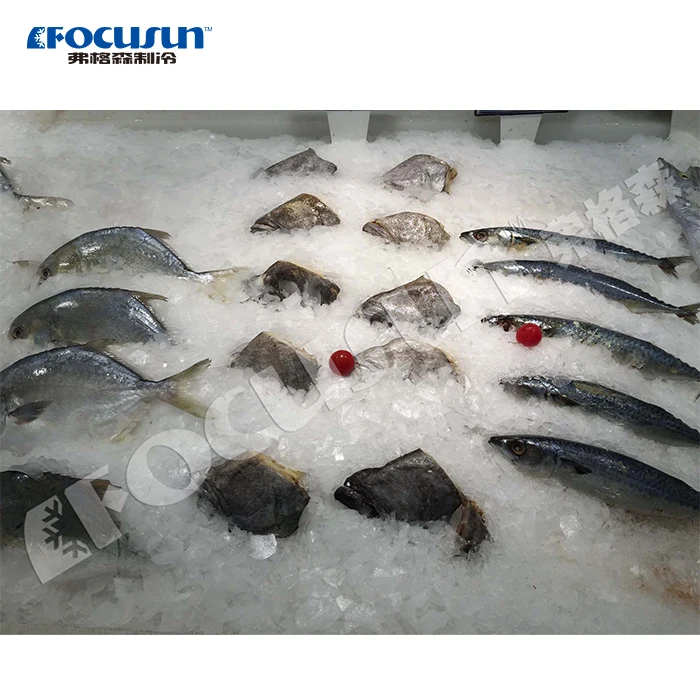 Hot Sale 2tons ice maker, ice plate maker for sale