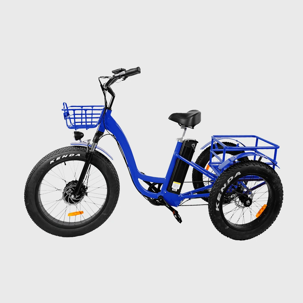 Ristar 2022 48V500W 700 Вт Электрический пассажирский трицикл для туда и обратно