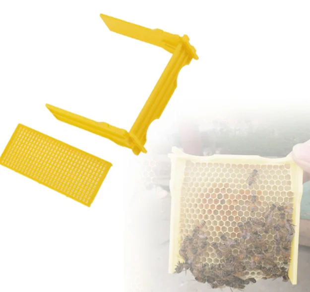 Plastic box for bee Honey Queen Bee Hive Nuc Box Mini bee Mating Boxes