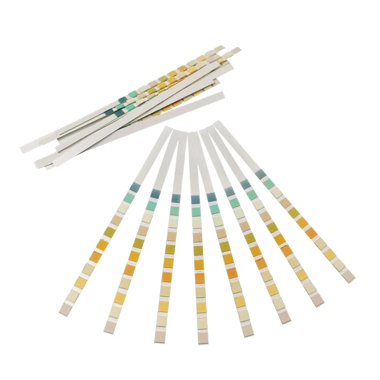 
Ketone Keto Urine 150 Urine Test Strips 11 Parameters Urine Reagent Test Strips 