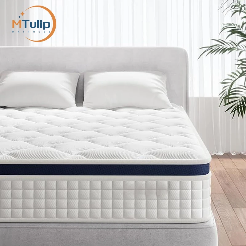 Much praise High density foam double size spring memory foam mattresses in a box 10 inch latex spring bed mattress